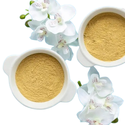 Dehydrated Tomato Powder - Organic, 1kg HDPE Bag, Brown Powder | Shelf Life 1 Year, Ayurveda Use