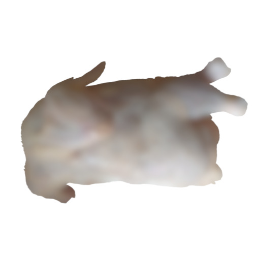 Chicken Whole - Shelf Life: 1 Years