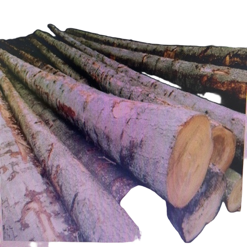 Wood Logs