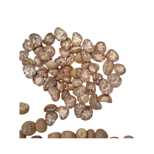 Duma Cut Areca Nut in Howrah