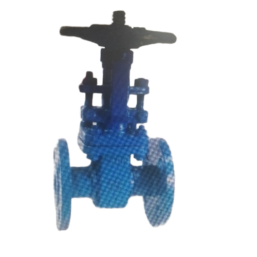 25mm Industrial Gate Valve 
