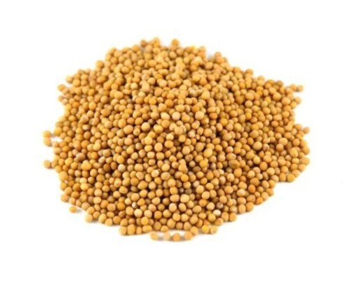 Yellow Mustard Seed