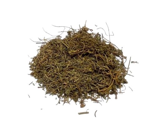 Bacopa Monnieri