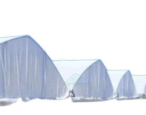 Multi Span Poly Tunnel House