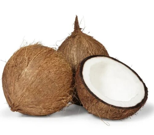 Nature Fresh Coconut - Color: Brown