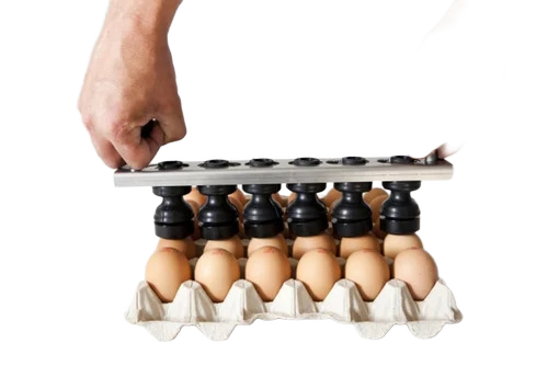 Ems 6 Manual Egg Stamping Machine