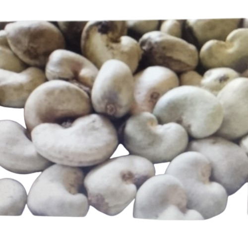 White Raw Cashew Nuts