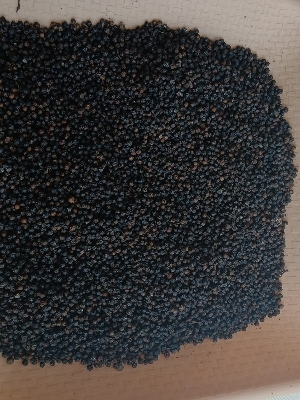 Black Pepper By Bluewave Global Exim
