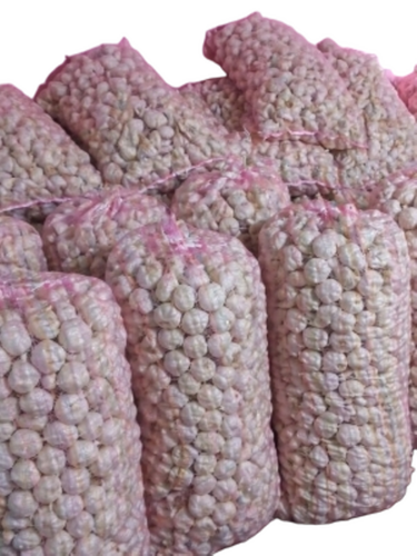 Fresh Natural Garlic Bulb - Packaging Size: 5 Kg Mesh Bag
10 Kg Mesh Bag
20 Kg Mesh Bag
25 Kg Mesh Bag
50 Kg Mesh Bag