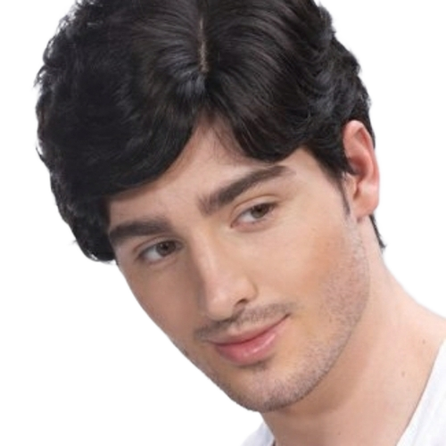 Men Wig