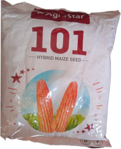 Agrostar 101 Hybrid Maize Seed