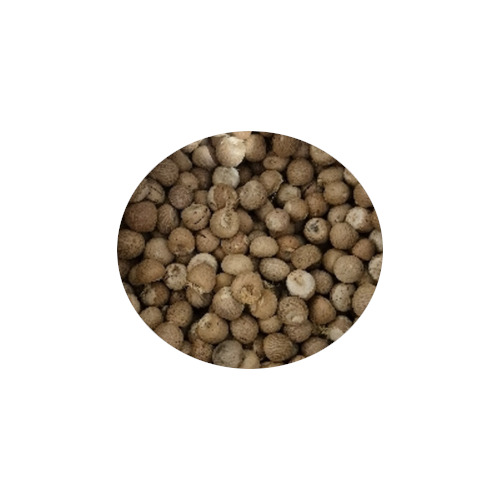 Betel Nuts - Cultivation Type: Common