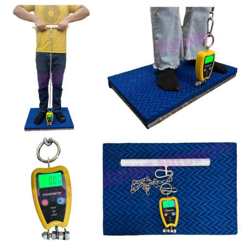 Back Leg and Chest Dynamometer Digital Muscle Strength Testing Device
