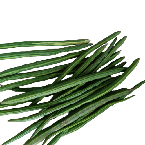 Drumsticks - Cultivation Type: Common