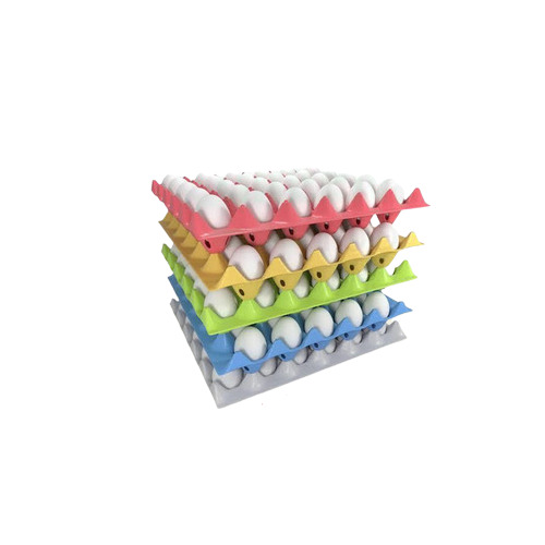 Plastic Egg Tray