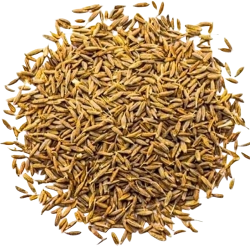 99% Europe Cumin Seed