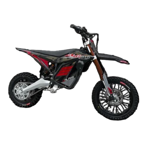Electro & Co Etm Rtr Alpha E Bikes