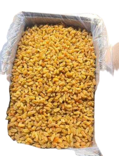 Raisins Orgnic - Grade: A
