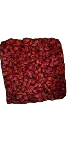 Red Mace Jayvetri - Grade: A