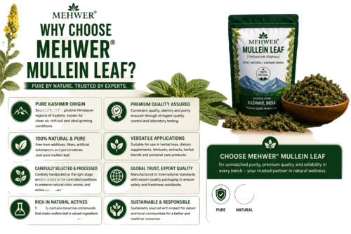 Mullein Leaf - Grade: Medicine Grade