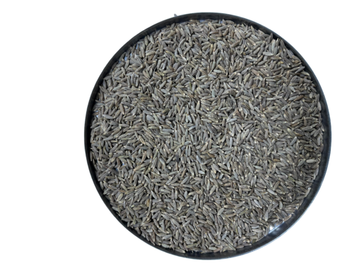 Organic Cumin Seeds