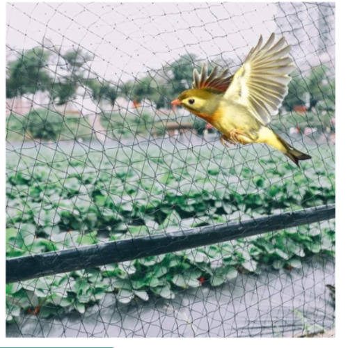 Hpde Nylon Anti Bird Net Size: 10X6 Feet - Color: Silver