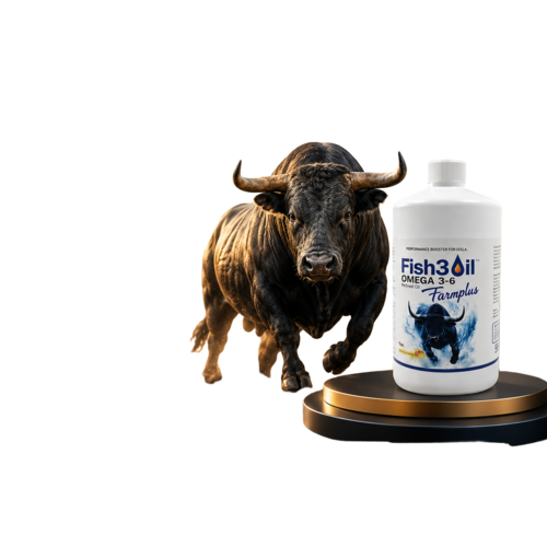 Genesisomega Mango Flavour Ultra Refined Omega 36 For Bulls & Cow 5 Ltr