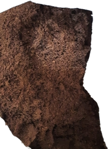 Coco Peat Powder