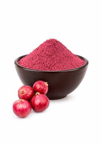 Red Onion Powder - Cultivation Type: Natural