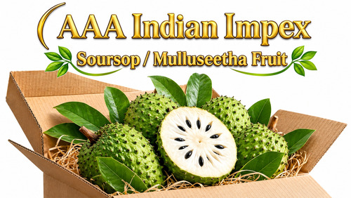 Soursop Fruit - Color: Green (Skin) / White (Pulp)