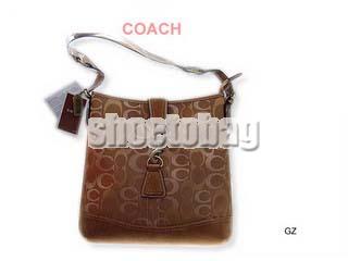 Ladies Coach Shoe Bags