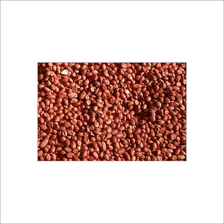 हाई इन प्रोटीन पीनट कर्नेल