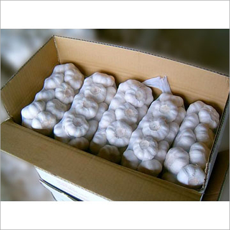 Moisture Proof Normal White Garlic