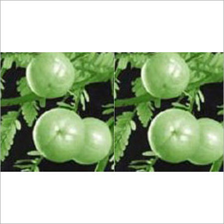 विटामिन सी से भरपूर ताजा हरा आंवला