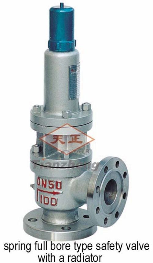 radiator safety valve