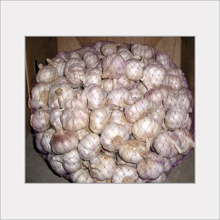 Fresh Garlic - Sizes: 4cm-7cm | White Color, Food Grade, Whole Vegetable Part, Spicy Taste, Common Cultivation, Maturity 100%