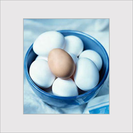  मुर्गी के अंडे