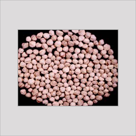 मोरिंगा बीज गिरी