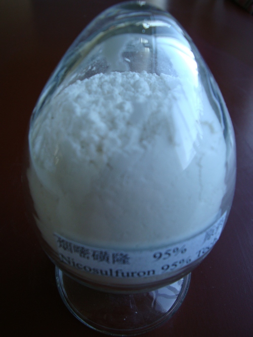 पाउडर निकोसल्फ्यूरॉन 95% टेक