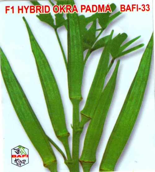 F1 Hybrid Okra Padma Seeds
