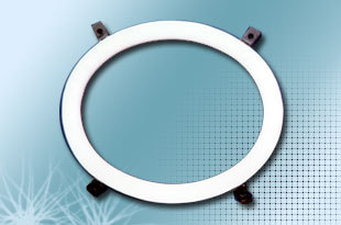 Ptfe लाइनेड प्रोटेक्शन रिंग