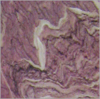 ब्राउन मार्किना मार्बल