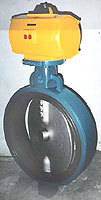 Center Disc Butterfly Valve - Durable Fabrication, Various Sizes Available | Optimum Performance, Highly Resilient Nature