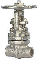 Forged Metal Globe Valve