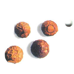 रीठा पाउडर