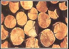 हार्डवुड टिम्बर प्लैंक