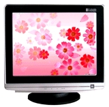 17 इंच CRT फ्लैट मॉनिटर अनुप्रयोग: सुरक्षा