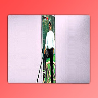 बैनर स्टैंड