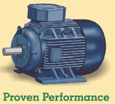 STANDARD INDUCTION MOTOR