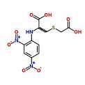 S-Carboxy Methylcysteine 